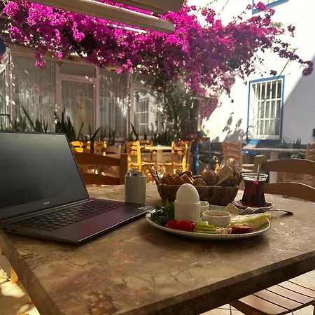 Hotel Kale *